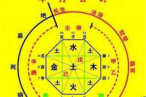 喜水之人|八字喜水人的特征 (八字喜水的命局如何改运)